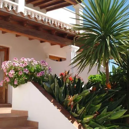 Apartamentos Ferrer Es Figueral Room photo